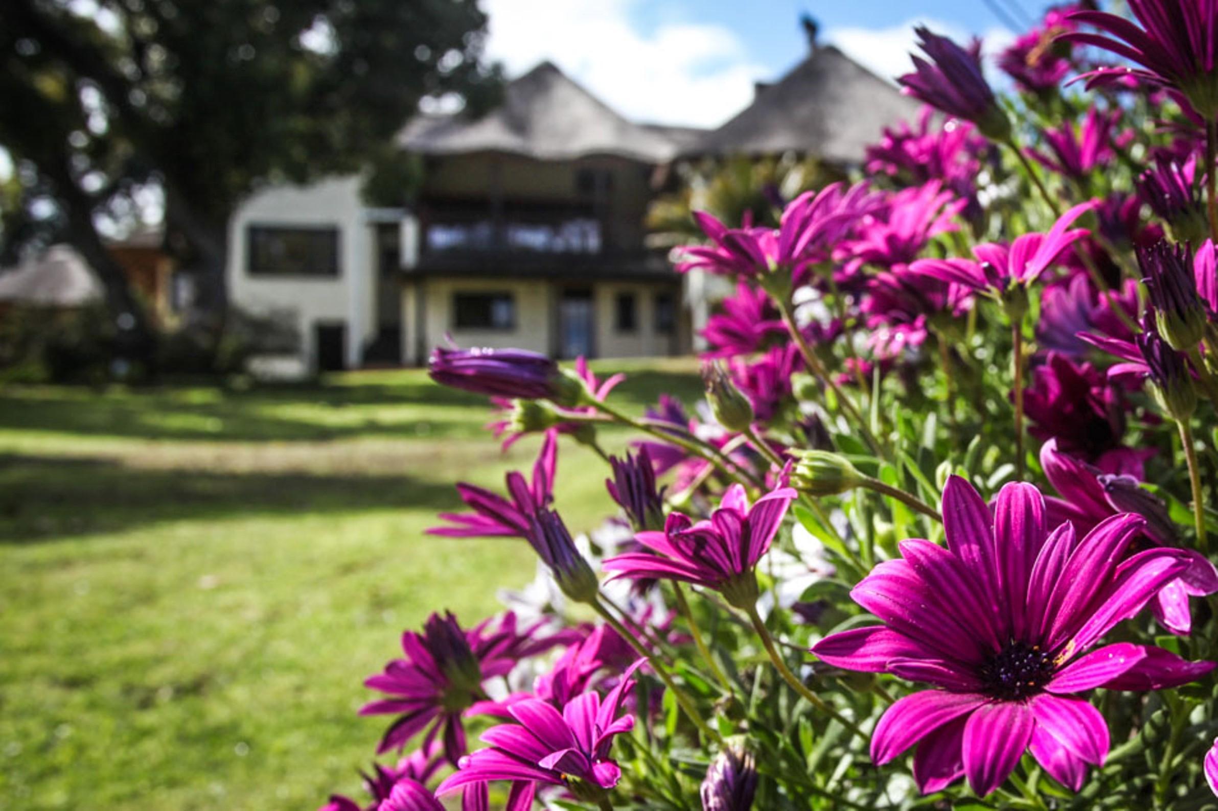 Winelands Villa Guesthouse And Cottages Somerset West Bagian luar foto