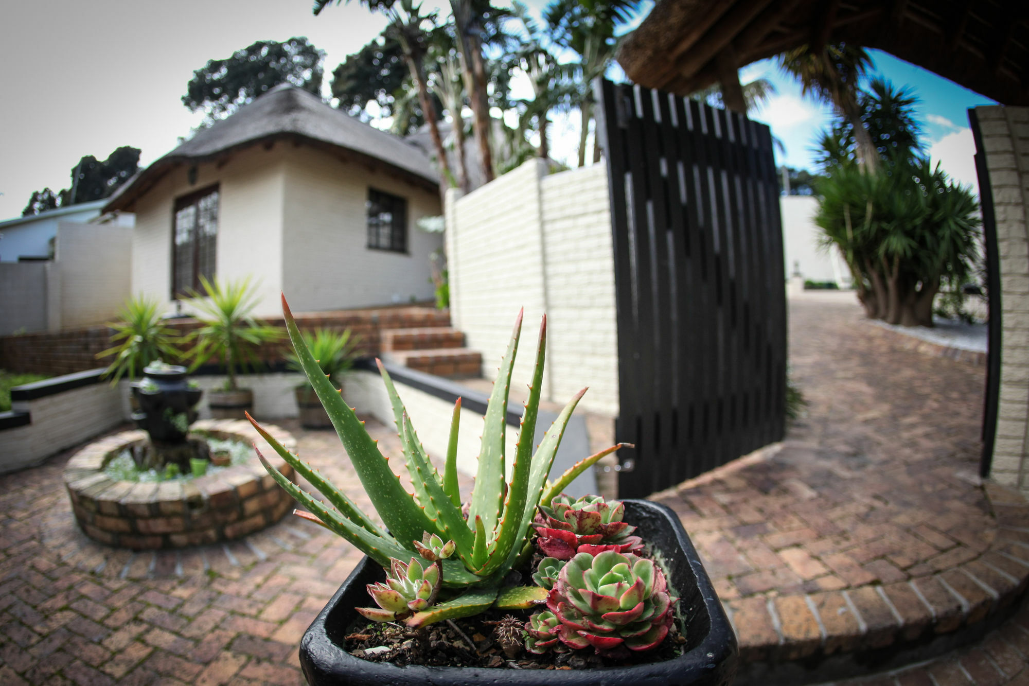 Winelands Villa Guesthouse And Cottages Somerset West Bagian luar foto